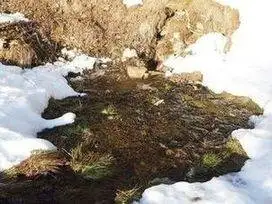 4 Top problems of Water Seepage in soils 2 water seepage