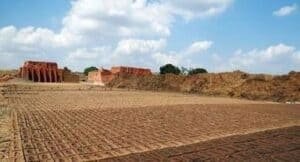 bricks drying