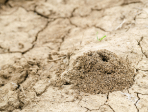 Construction Methods of Soil Stabilization 1 soil stabilization