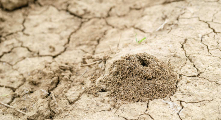 Construction Methods of Soil Stabilization 1 soil stabilization